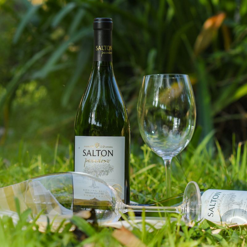 Vinho-Branco-Salton-Paradoxo-Riesling-750ml-2022