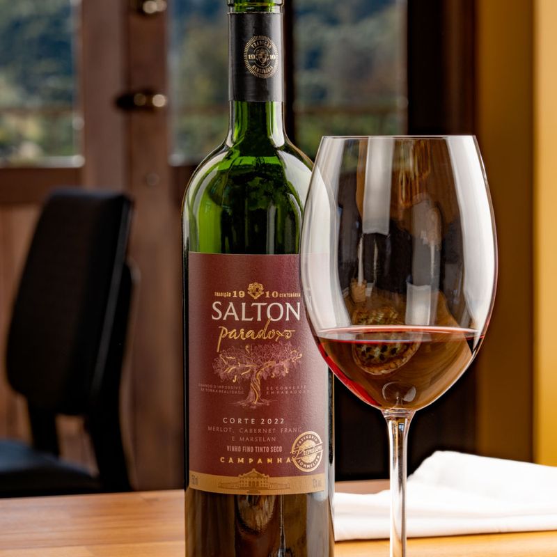 Vinho-Tinto-Salton-Paradoxo-Merlot-Cab-Franc-Marselan-750ml-2022