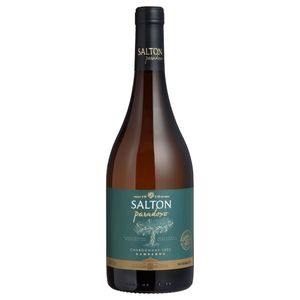 Vinho Branco Salton Paradoxo Chardonnay 750ml 2022