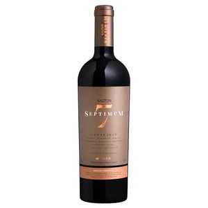 Vinho Tinto Salton Septimum 750ml 2020