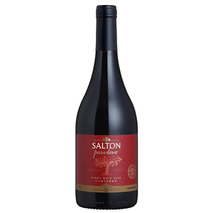 Vinho Salton Paradoxo Pinot Noir 750ml 2020